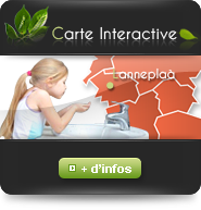 bouton carte interactive